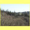 20100305_77.JPG