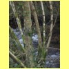 20100226_21.JPG