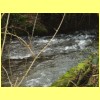 20100226_22.JPG