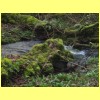 20100226_34.JPG