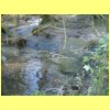 20100305_99.JPG